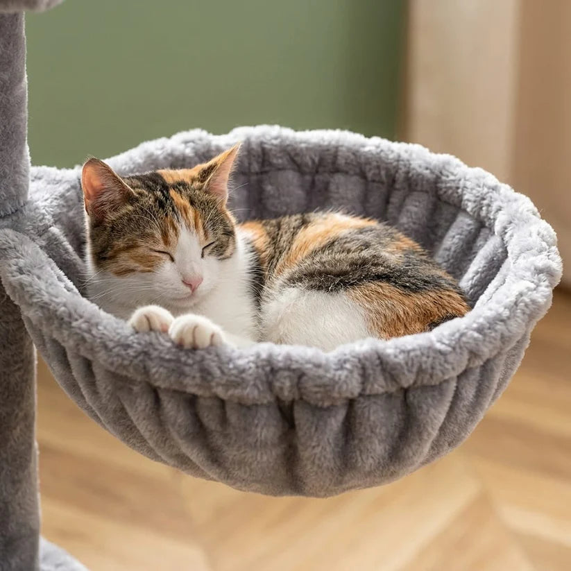 Arbre à chat petit budget | Yasuo