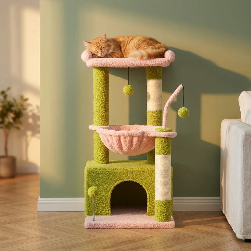 Arbre à chat petit modèle | Marou