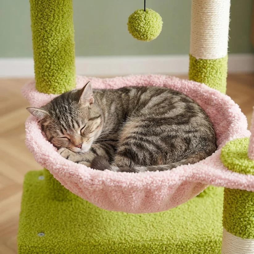Arbre à chat petit modèle | Marou