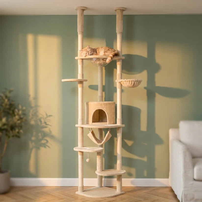 Arbre à chat plafond beige | Hoshia