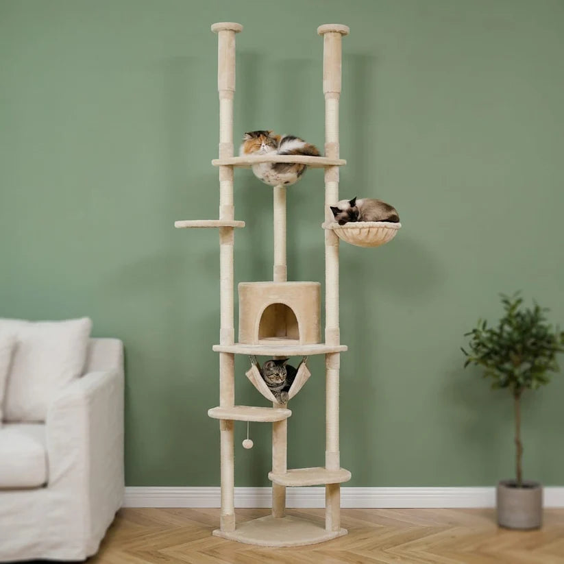 Arbre à chat plafond beige | Hoshia