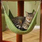 Arbre à chat plancher au plafond | Ishia