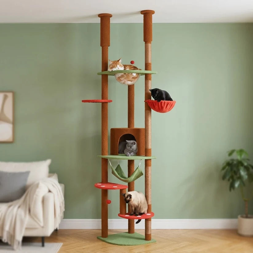 Arbre à chat plancher au plafond | Ishia