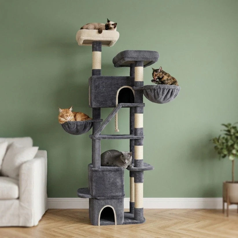 Arbre à chat plateforme xxl | Nemurio