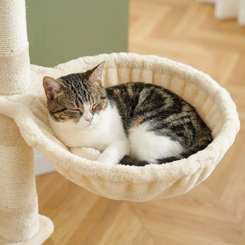 Arbre à chat gros gabarit xxl | Yamao