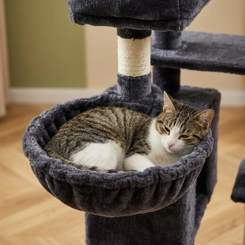 Arbre à chat pour maine coon | Gozan