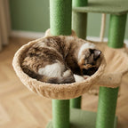 Arbre à chat beige 170 cm | Hirou