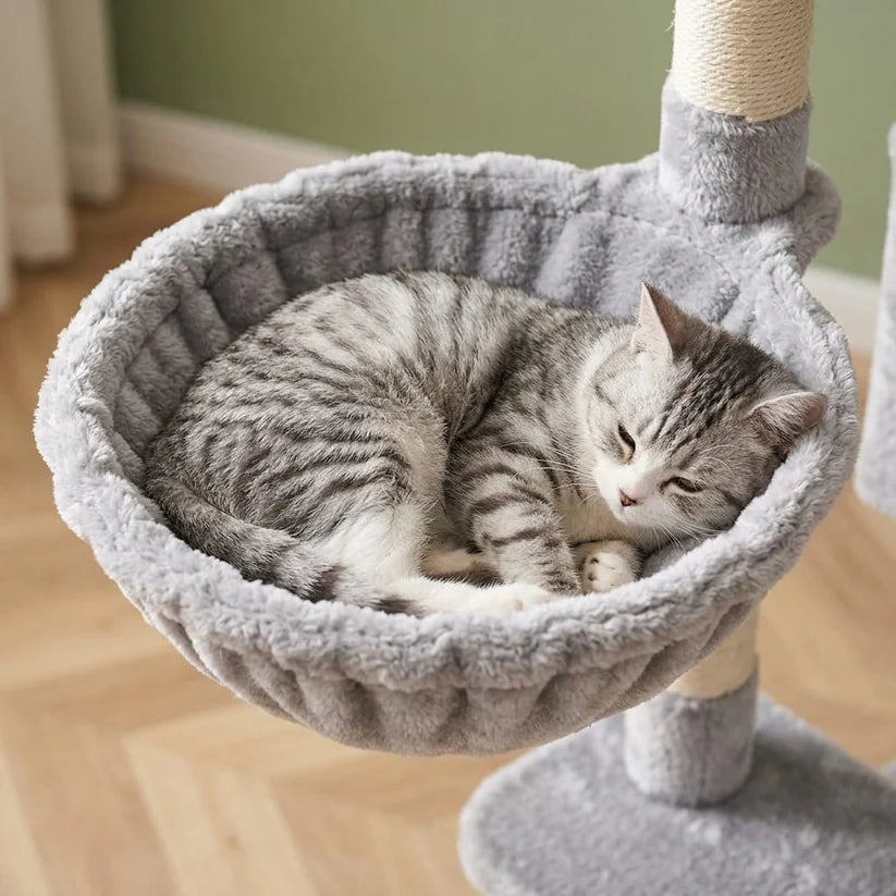 Arbre à chat petit espace | Kadou