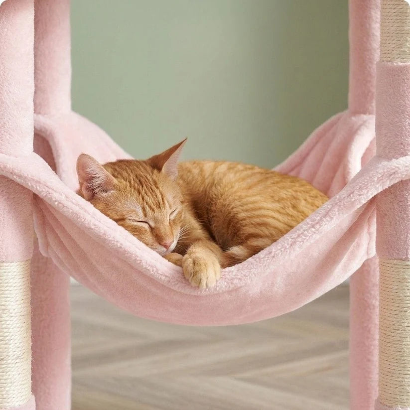 Arbre à chat rose | Sakurau