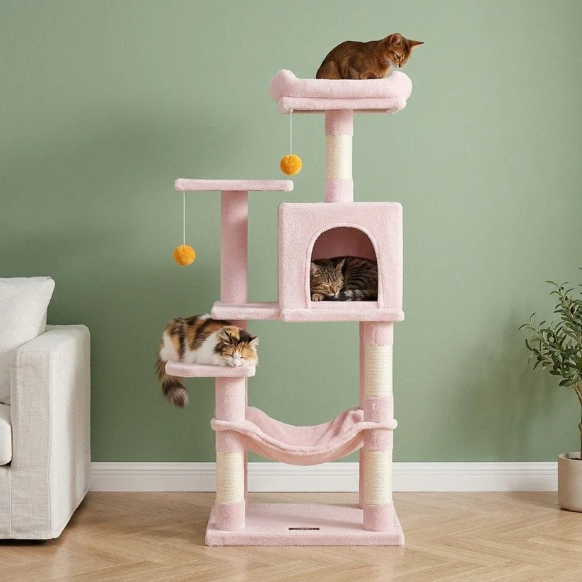 Arbre à chat rose | Sakurau