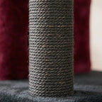 Arbre à chat beige avec hamac | Yorou