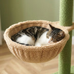 Arbre à chat sol au plafond | Zenkou