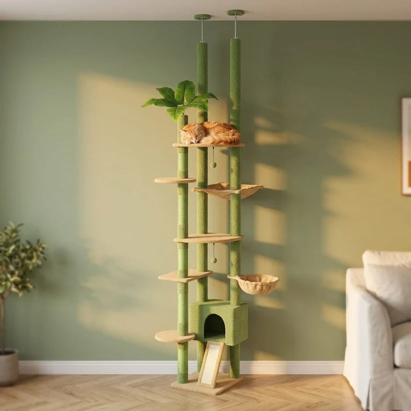 Arbre à chat sol au plafond | Zenkou