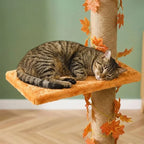 Arbre à chat barre à fixation plafond | Yokoua