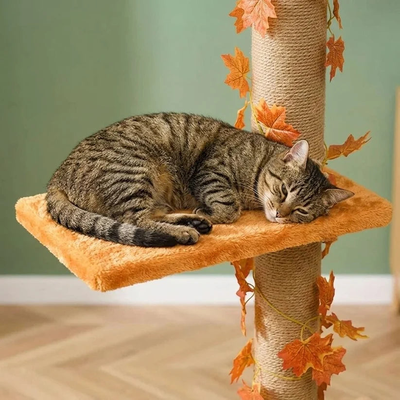 Arbre à chat barre à fixation plafond | Yokoua
