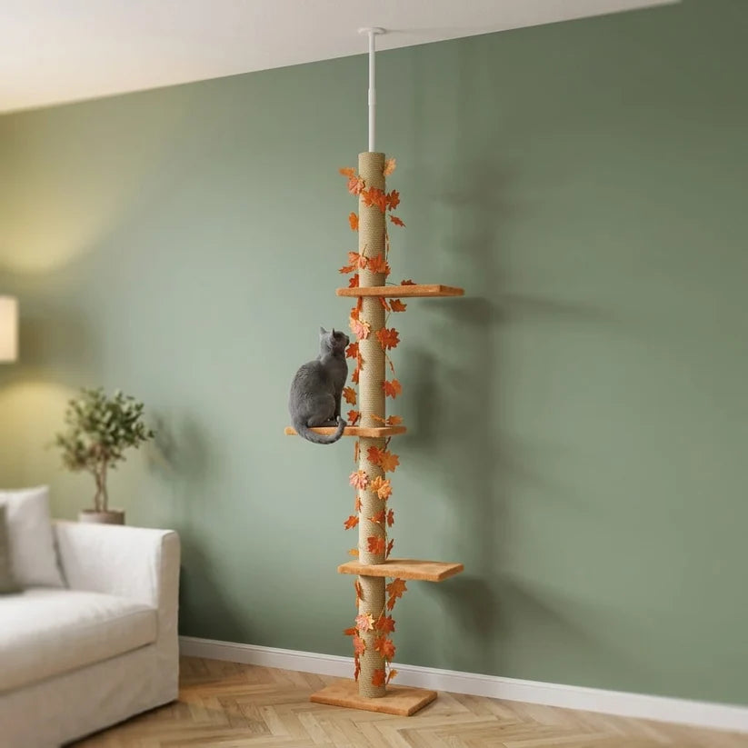 Arbre à chat barre à fixation plafond | Yokoua
