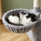 Arbre à chat solide et design | Renia