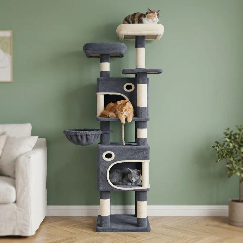 Arbre à chat maine coon beige | Shirou