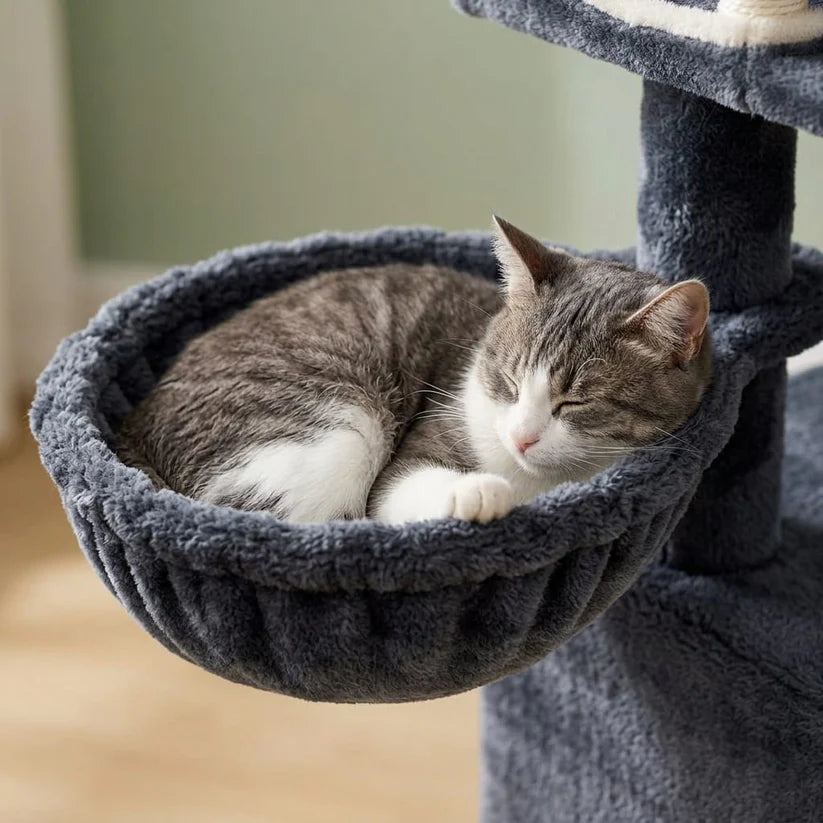 Arbre à chat maine coon beige | Shirou