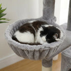 Arbre à chat maine coon appartement |Fumia