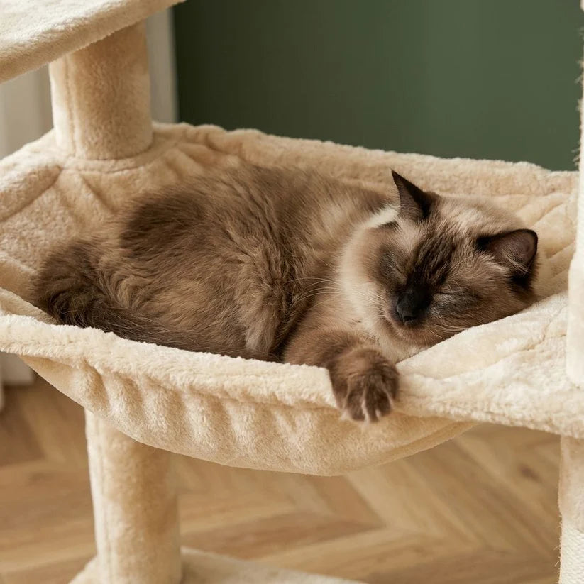 Arbre à chat forme fleur | Oukoua