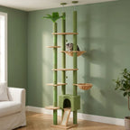 Arbre à chat vert | Midoria