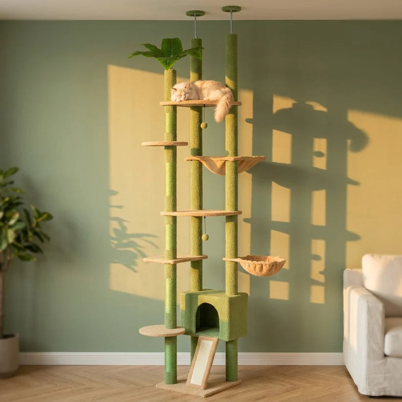Arbre à chat vert | Midoria