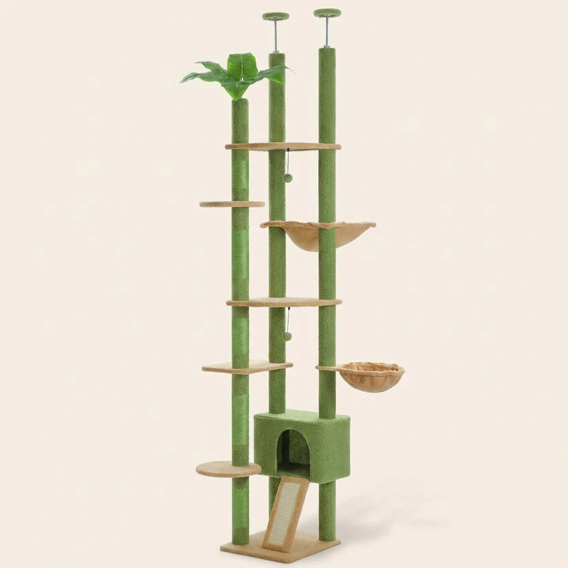 Arbre à chat vert | Midoria