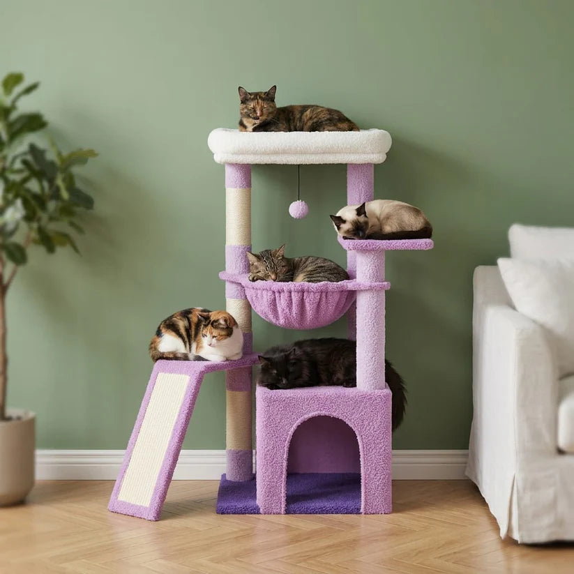 Arbre à chat violet | Murasakia