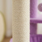 Arbre à chat violet | Murasakia