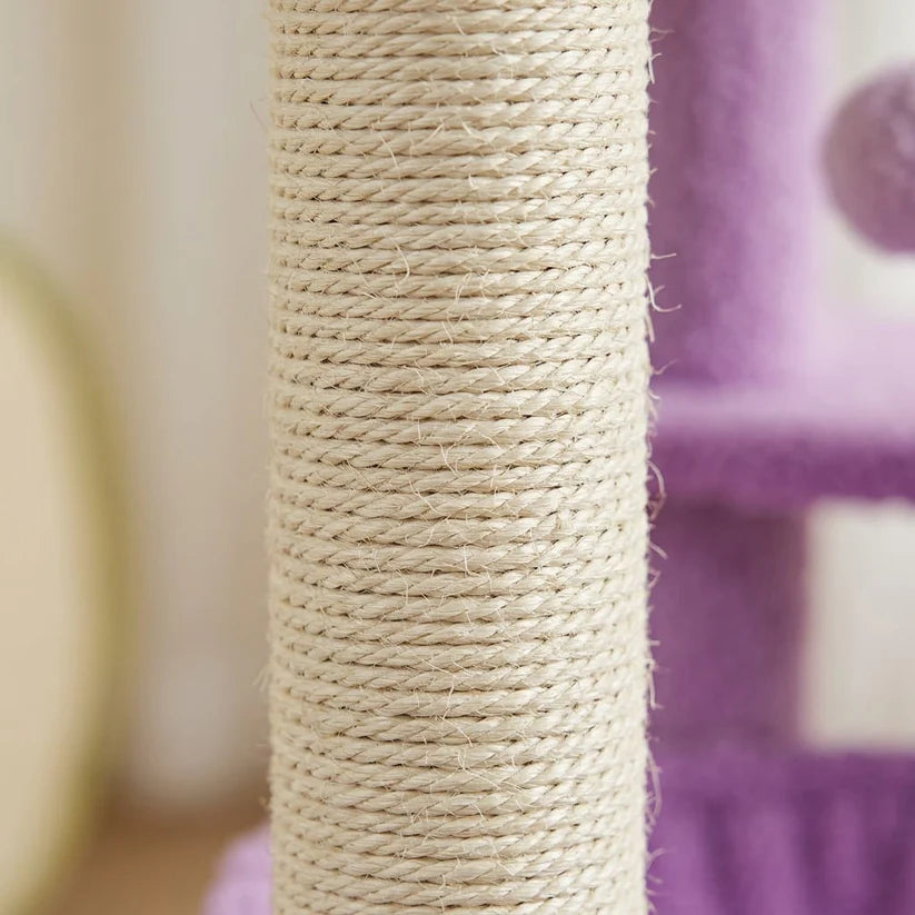 Arbre à chat violet | Murasakia