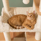 Arbre à chat xxl beige | Taoa