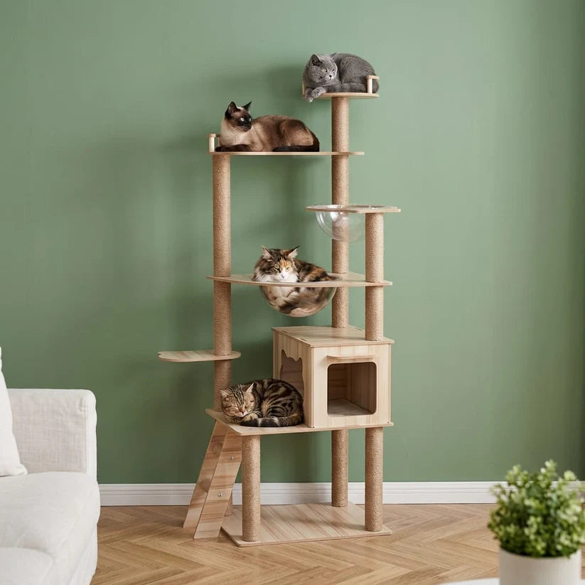 Arbre à chat xxl bois | Neou
