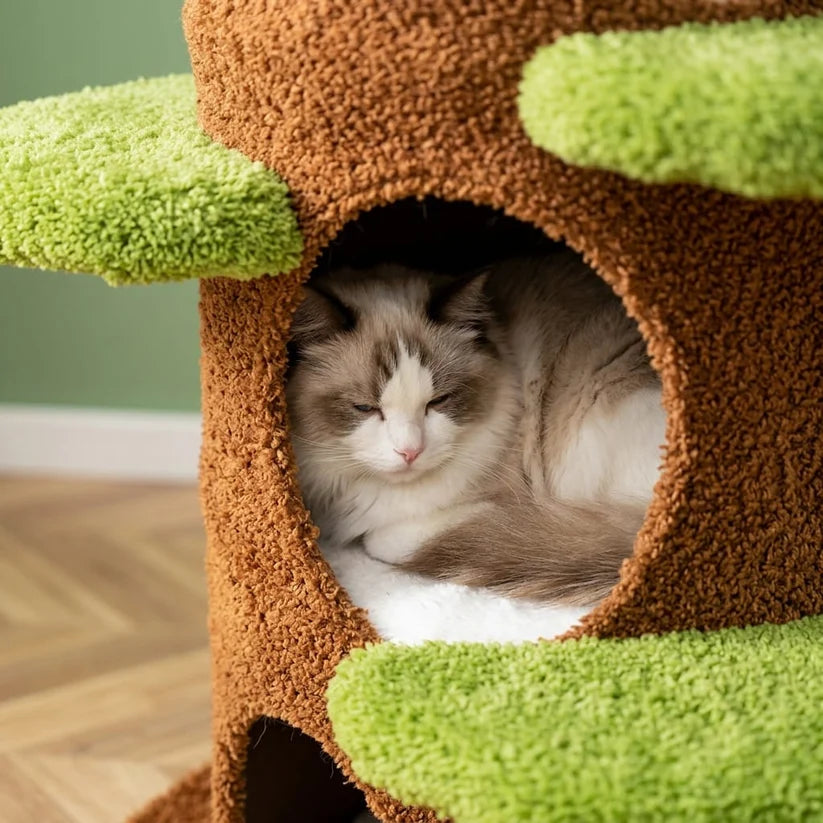 Arbre à chat xxl bois flotté | Okau