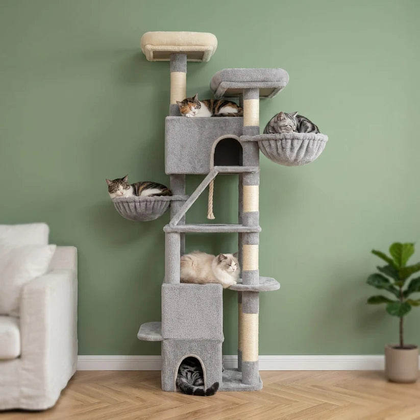 Arbre à chat plateforme xxl | Nemurio