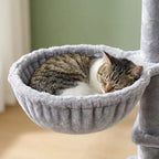 Arbre à chat xxl pour maine coon | Raiou