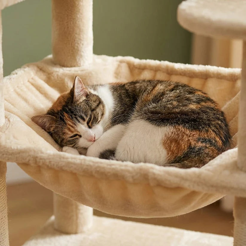 Arbre à chat grand chat xxl | Koen