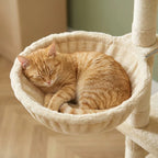 Arbre à chat d'angle design — Aoia
