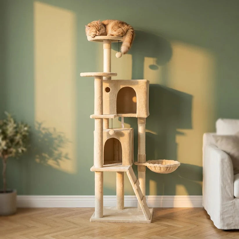 Arbre à chat d'angle design — Aoia