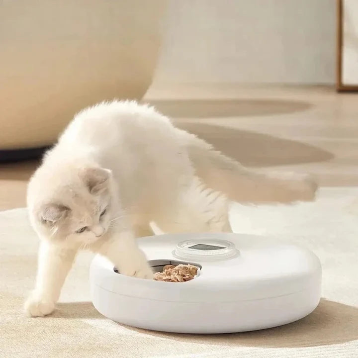 Distributeur automatique croquette 6 repas | Peti