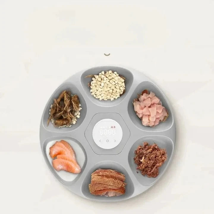 Distributeur automatique croquette 6 repas | Peti
