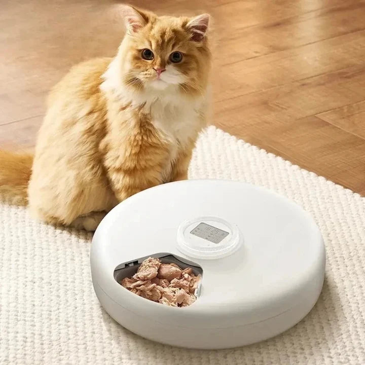 Distributeur automatique croquette 6 repas | Peti