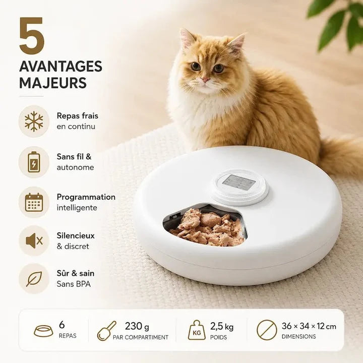 Distributeur automatique croquette 6 repas | Peti