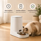 Distributeur automatique croquettes Wi-Fi | Auto