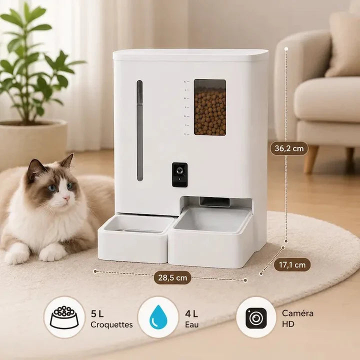 Distributeur automatique eau et croquettes chat | Feed