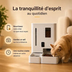 Distributeur automatique eau et croquettes chat | Feed