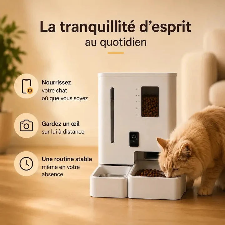 Distributeur automatique eau et croquettes chat | Feed