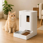 Distributeur automatique eau et croquettes chat | Feed