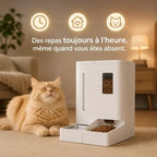 Distributeur automatique eau et croquettes chat | Feed