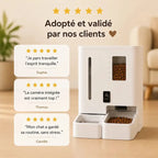 Distributeur automatique eau et croquettes chat | Feed